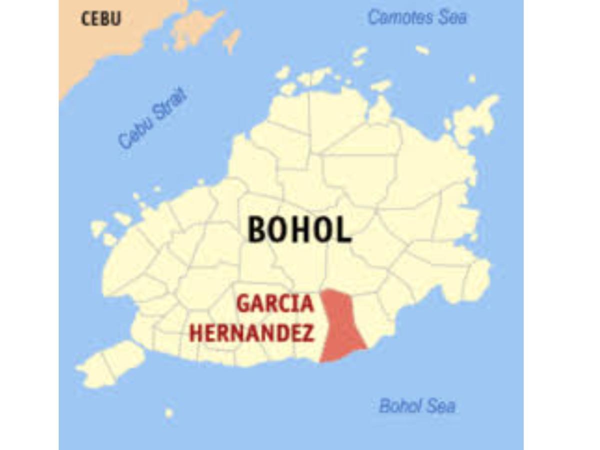 Bamboo Beachhouse Dormitory Garcia Hernandez ภายนอก รูปภาพ